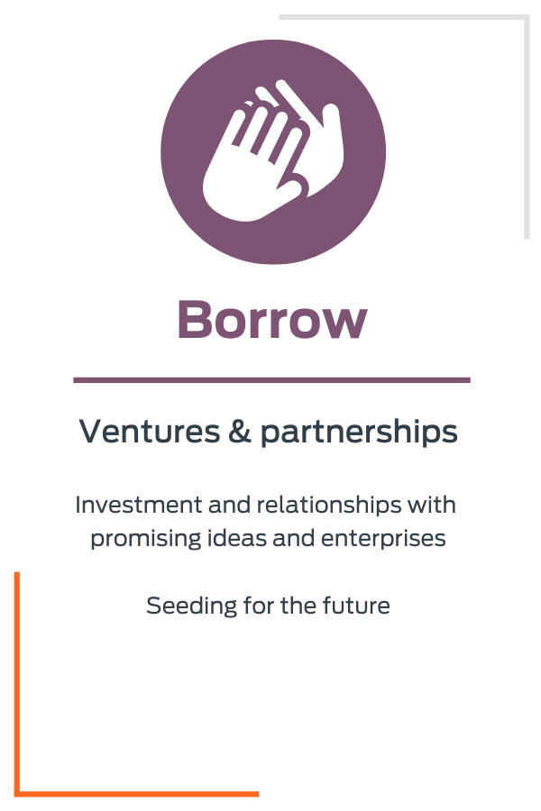 Borrow